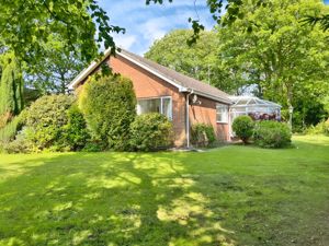 Photo 14- click for photo gallery